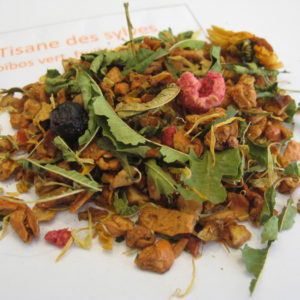 Tisane des sylves assimilé BIO - Rooibos - Infusion fruitée - en aparthé