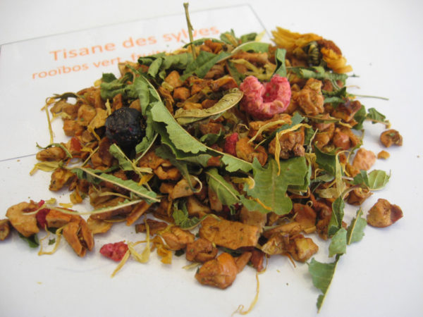 Tisane des sylves assimilé BIO - Rooibos - Infusion fruitée - en aparthé