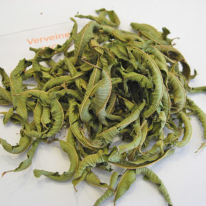 Verveine BIO - Tisane - Infusion - en aparthé