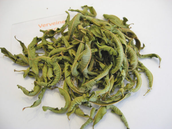 Verveine BIO - Tisane - Infusion - en aparthé