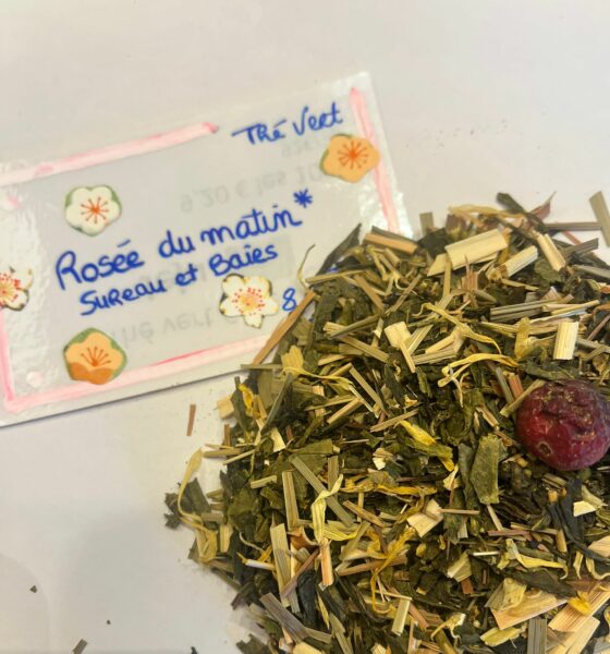 Rosée du matin - en aparthé - lyon 7